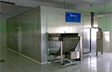 neptune belt freezer